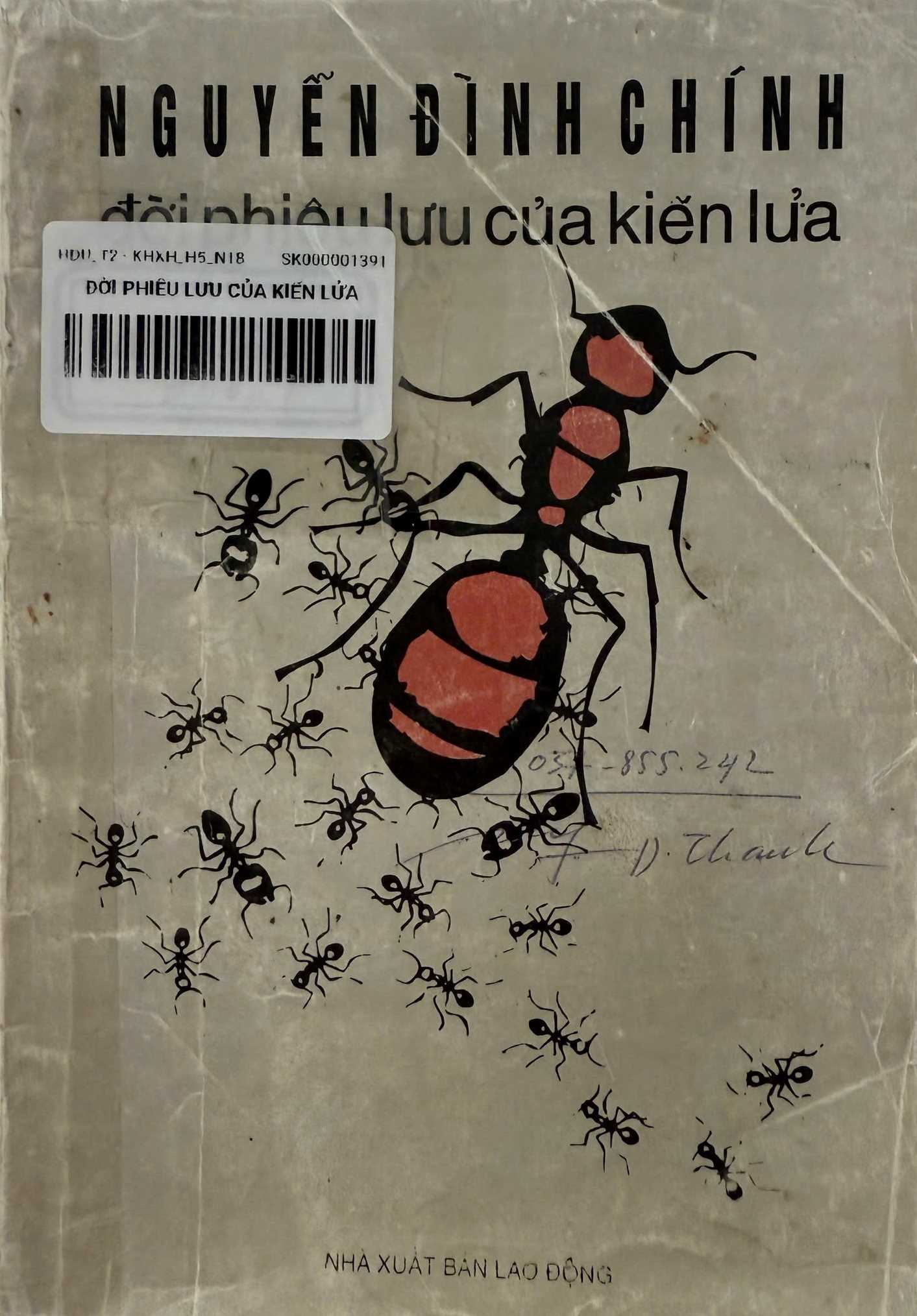 Đời phiêu lưu của kiến lửa